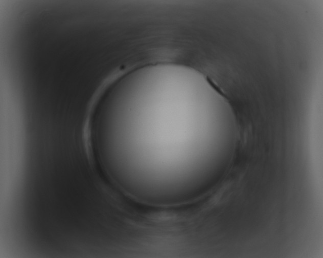 X0000100910244200807081130