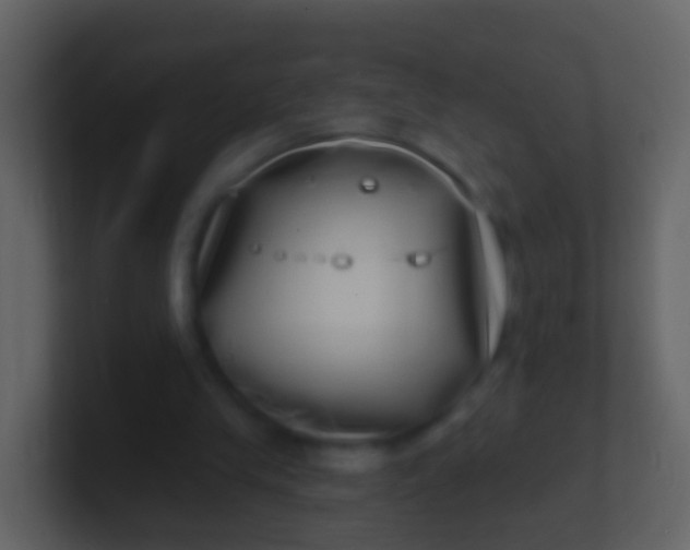 X0000100910245200807081130