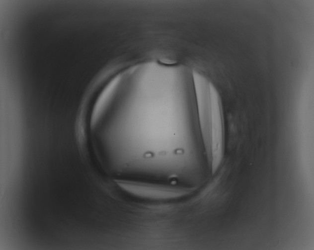X0000100910246200807081130