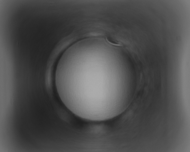 X0000100910247200807081130