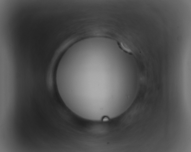 X0000100910248200807081130