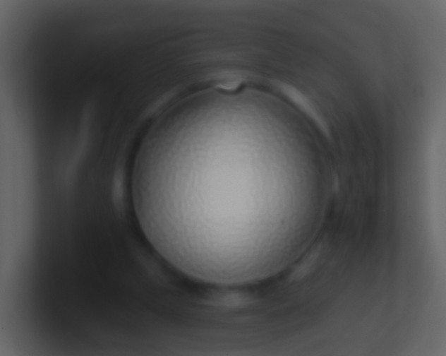 X0000100910249200807081130