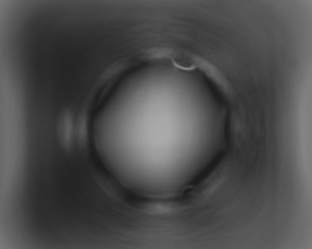 X0000100910250200807081130