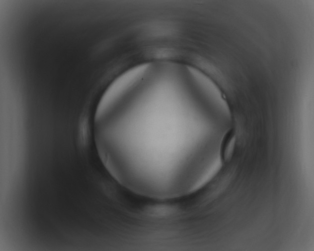 X0000100910251200807081130