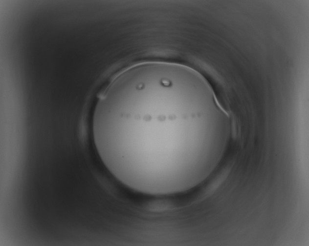 X0000100910252200807081130