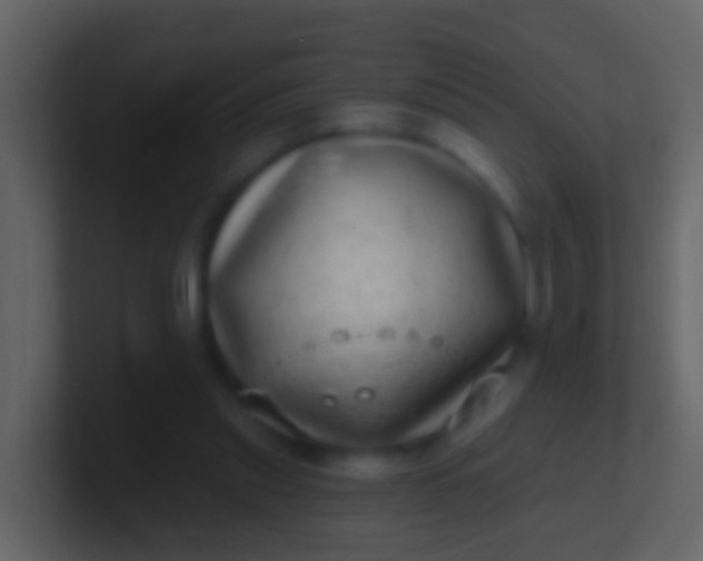 X0000100910253200807081130