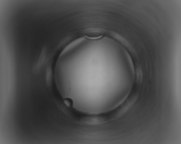 X0000100910254200807081130