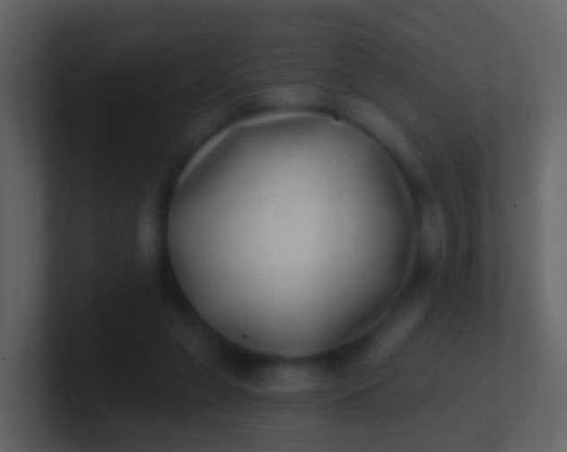 X0000100910255200807081130