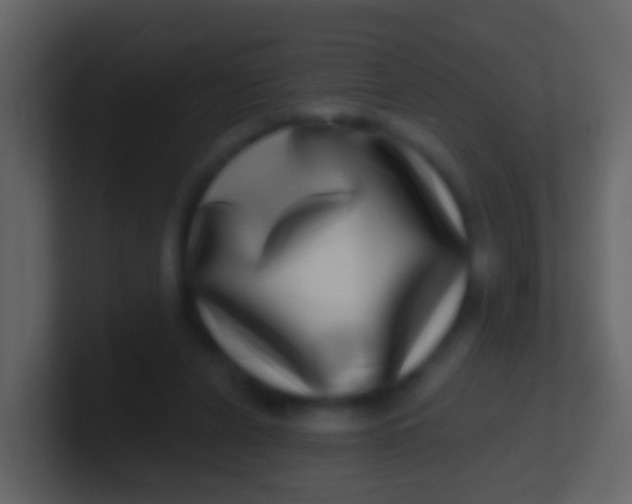 X0000100910256200807081130