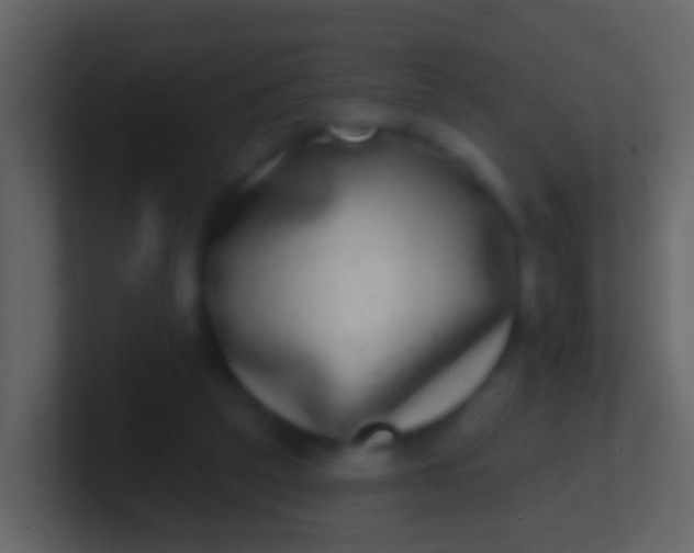 X0000100910257200807081130