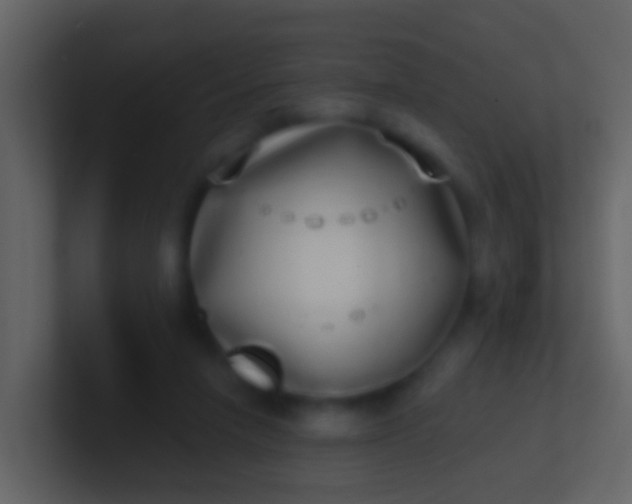 X0000100910258200807081130