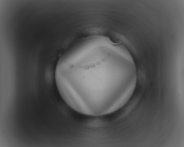 X0000100910259200807081130