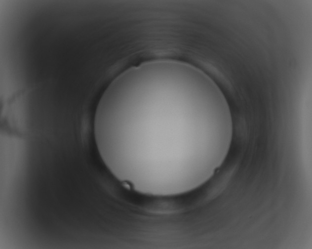 X0000100910260200807081130