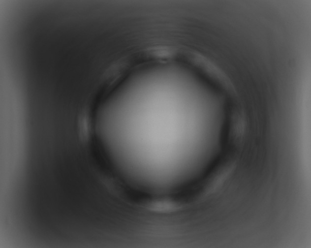 X0000100910262200807081130