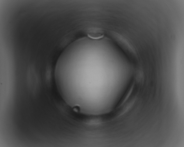 X0000100910263200807081130