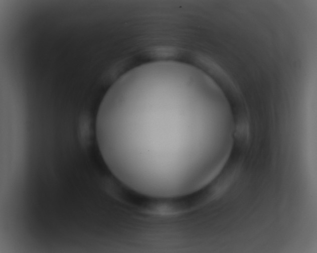 X0000100910264200807081130