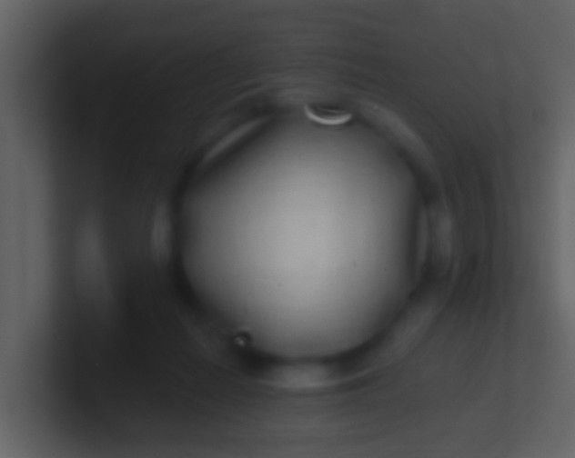 X0000100910266200807081130