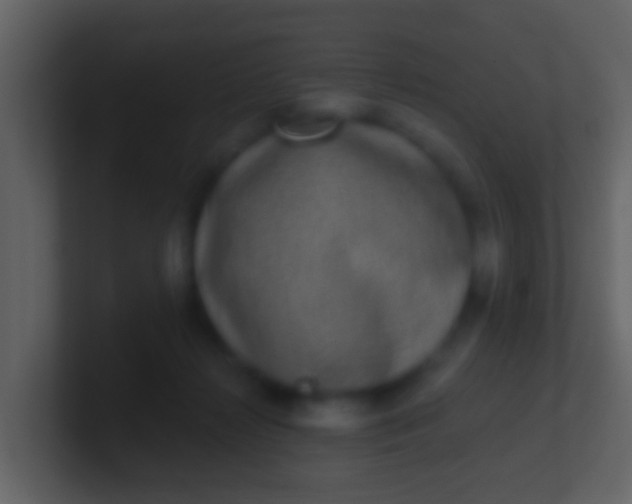 X0000100910268200807081130
