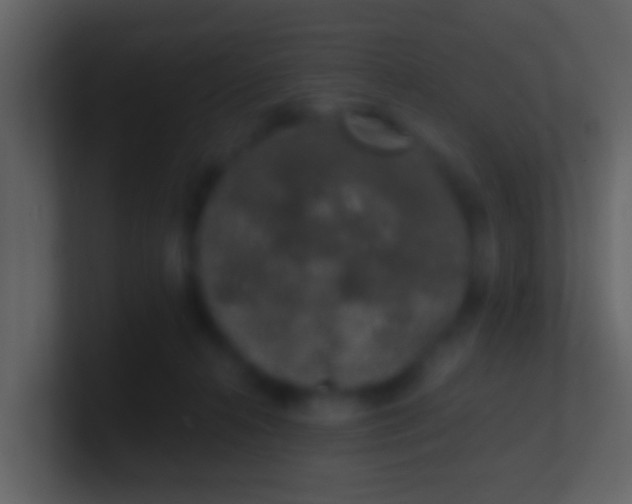 X0000100910272200807081130