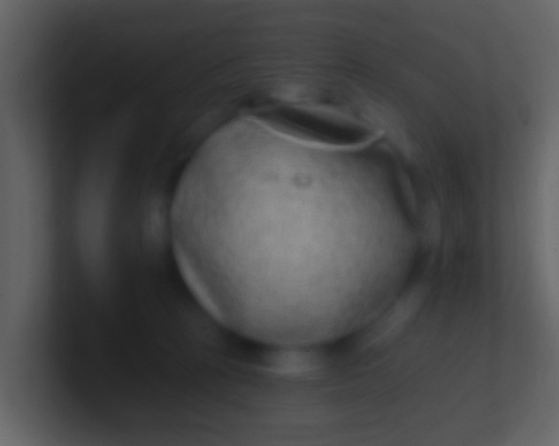 X0000100910273200807081130