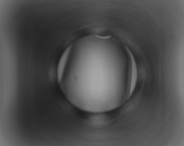 X0000100910274200807081131