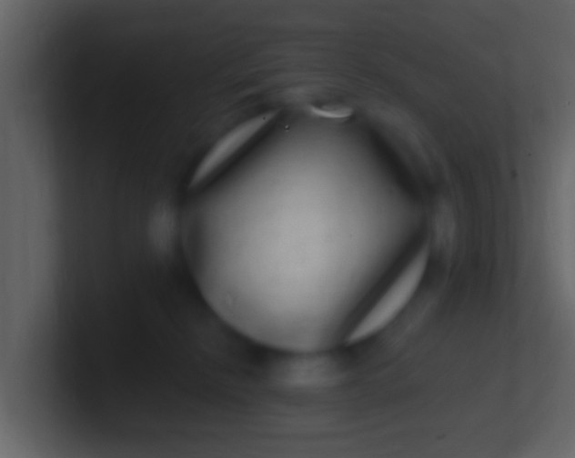 X0000100910278200807081131