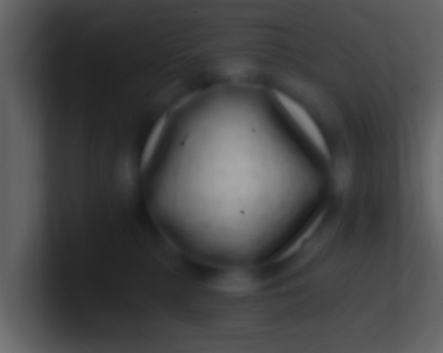 X0000100910279200807081131