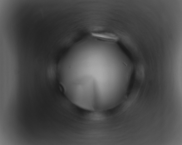 X0000100910280200807081131