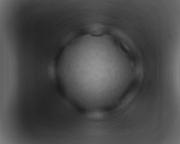 X0000100910282200807081131