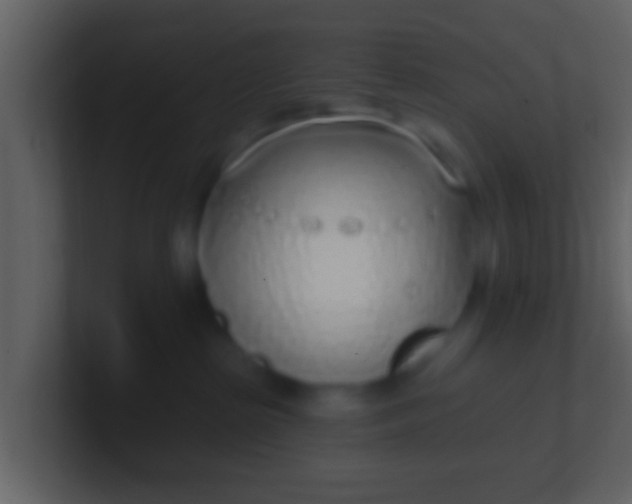 X0000100910285200807081131