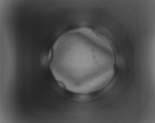 X0000100910286200807081131