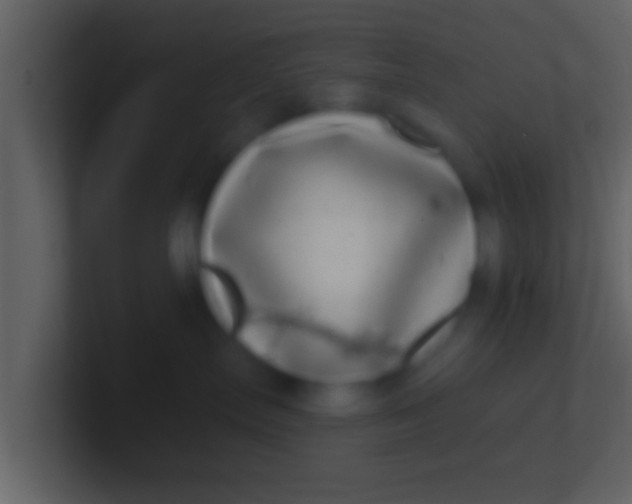 X0000100910287200807081131