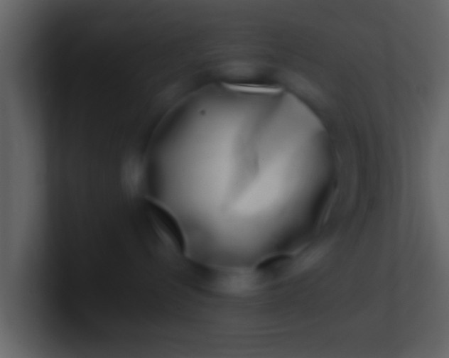 X0000100910288200807081131