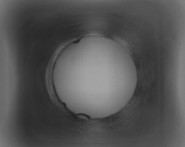 X0000100910289200807081130