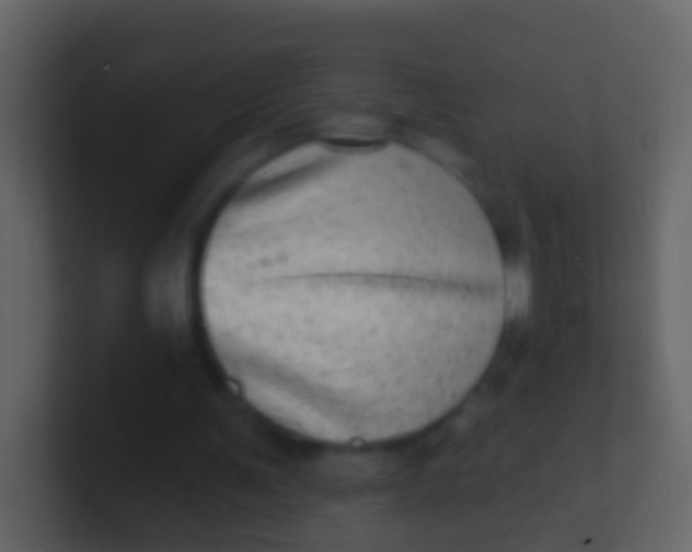X0000100910291200807081130