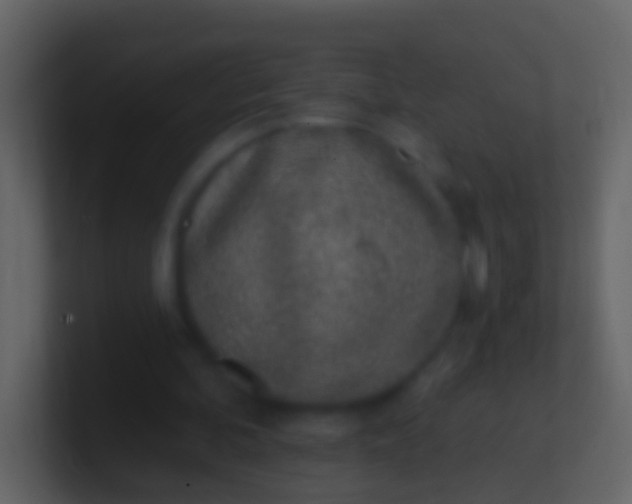 X0000100910292200807081130
