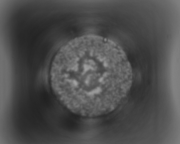 X0000100910293200807081130
