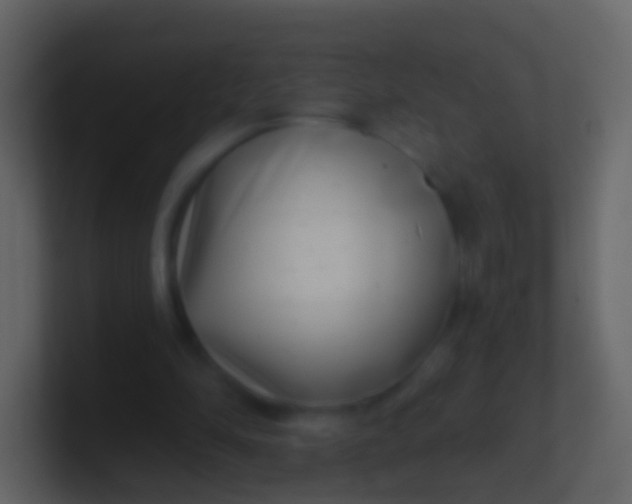 X0000100910294200807081130