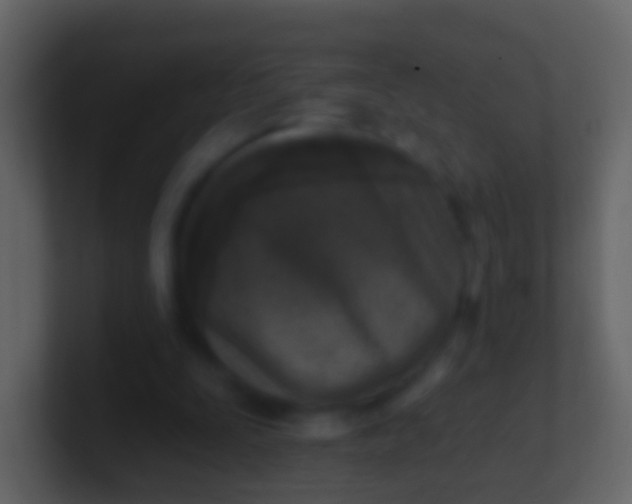 X0000100910295200807081130
