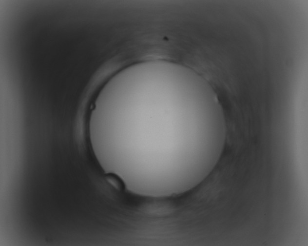 X0000100910296200807081130