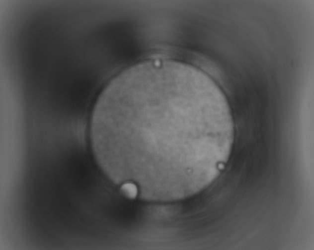 X0000100910297200807081130