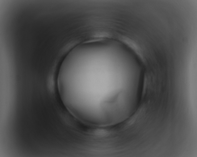X0000100910298200807081130