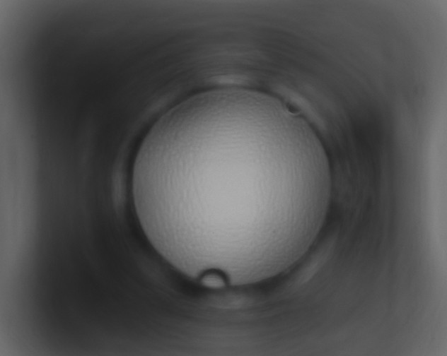 X0000100910299200807081130