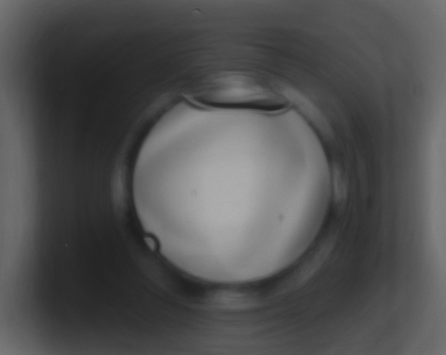 X0000100910300200807081130
