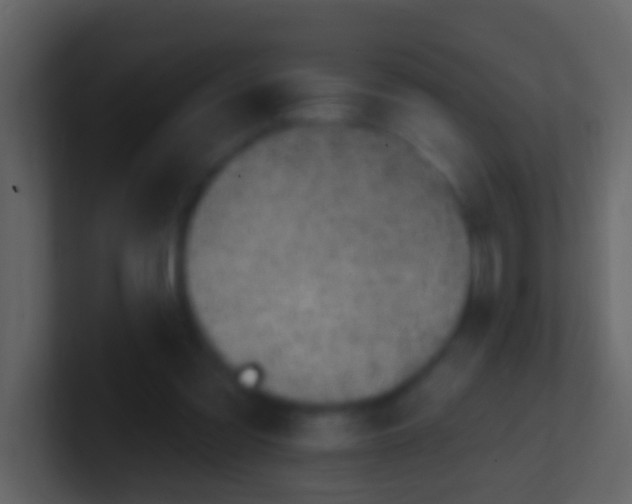 X0000100910301200807081130