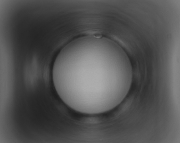 X0000100910303200807081130