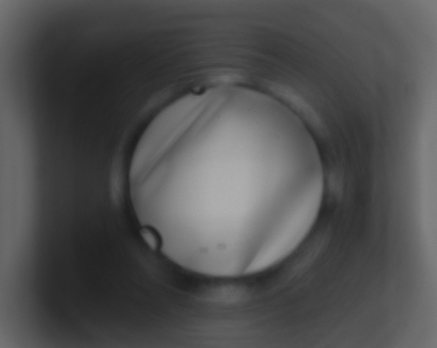 X0000100910304200807081130