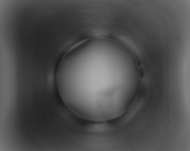 X0000100910306200807081130