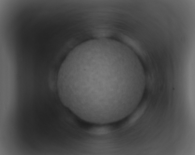 X0000100910307200807081130