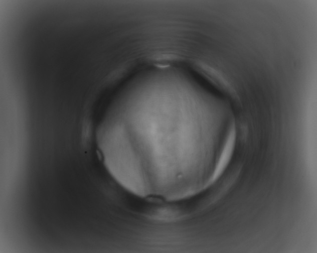 X0000100910308200807081130